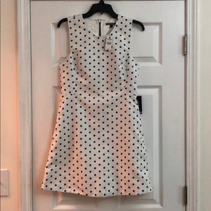Express Black and White Polka Dot Dress